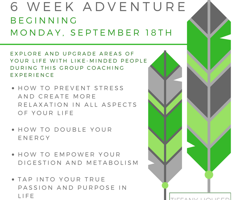 6 Week Group Coaching Experience